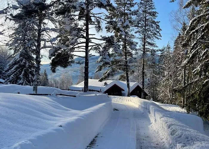 Mountain Escape Near Gulsrud With Historical Charm *