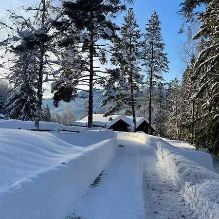 Mountain Escape Near Gulsrud With Historical Charm Nyaraló Eggedal
